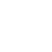 FLYERS